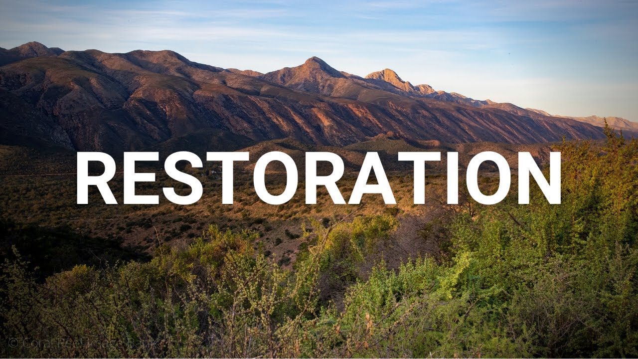 Restoration in El Paso TX